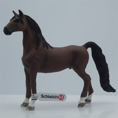 AMERICAIN SADDLEBRED GELSCHLEICH